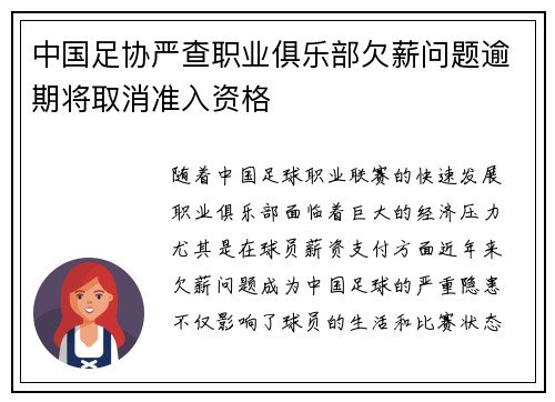 中国足协严查职业俱乐部欠薪问题逾期将取消准入资格 中国足协严查职业俱乐部欠薪问题逾期将取消准入资格